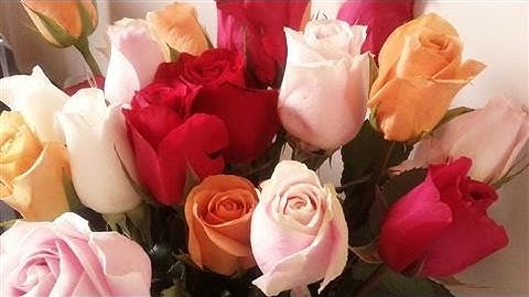 Why 1-800-Flowers and Tenet Are Rising