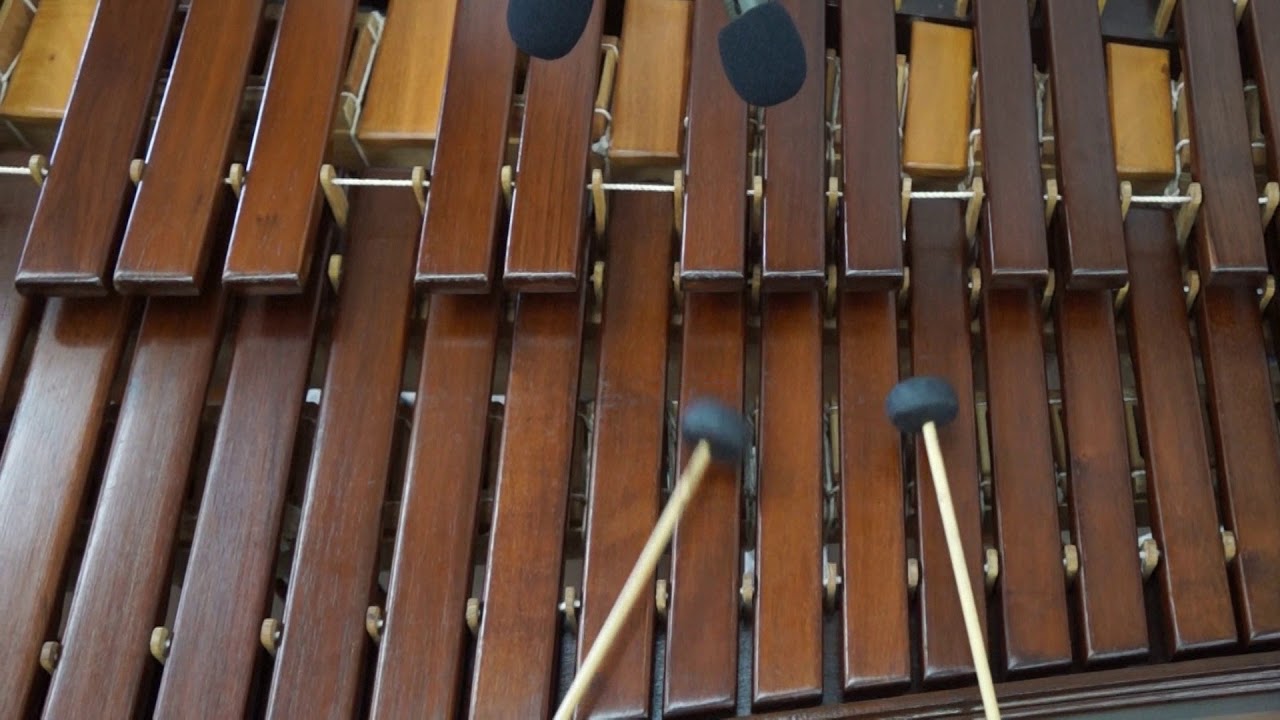 Ejercicio para Marimba: Trémolo Do Mayor - YouTube