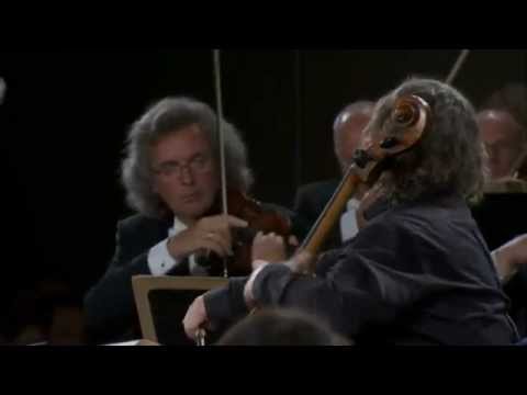 Alexander Knyazev - Tchaikovsky - Rococo Variations - Temirkanov