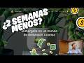Probé WordPress después de 10 años… y me ahorró semanas de desarrollo
