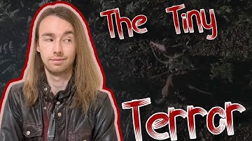 The TRUTH About the SPOOKIEST Jurassic Park Scene | Dinovember Day 1: Compsognathus