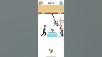 Thief Puzzle Level 16