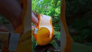 Download Lagu cool how to slice coconut perfectly skill ASMR MP3 Download Lagu cool how to slice coconut perfectly skill ASMR MP3