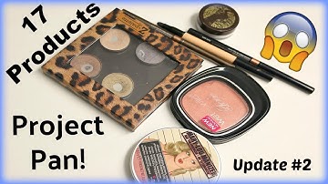 PROJECT PAN UPDATE! #2  17 Products In 2017!