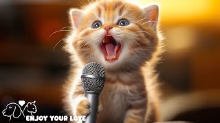 Soft Paws, Soft Tunes: Music for Cat Relaxation