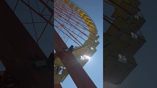 Birds living on the Ferris wheel at Kentucky Kingdom