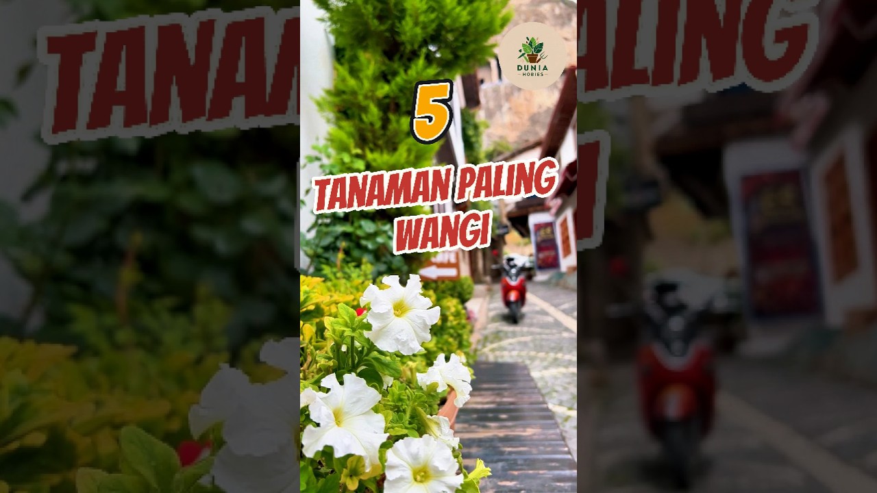 5 Tanaman dengan Aroma Paling Wangi