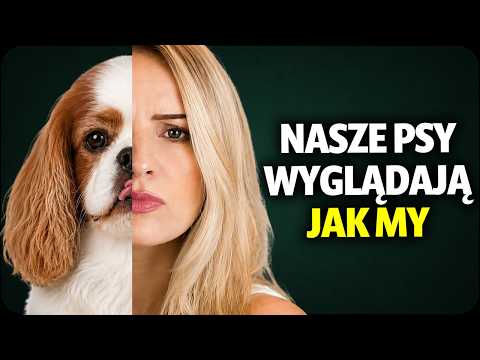 The Psychology of Why Owners Look Like Their Pets