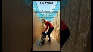 AMAZING #usa #viral #7pm