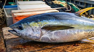 Masterclass: Watch This Young Chef Precision-Cut a Tuna!"