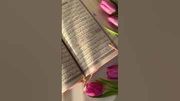 تلاوة رائعة جدا بصوت #سورة_الكهف #قران_كريم #جمعة_طيبة #جمعة_مباركة #قرآن #راحة_نفسية 🥀🍃