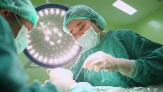 RMUTTO Veterinary Teaching Hospital