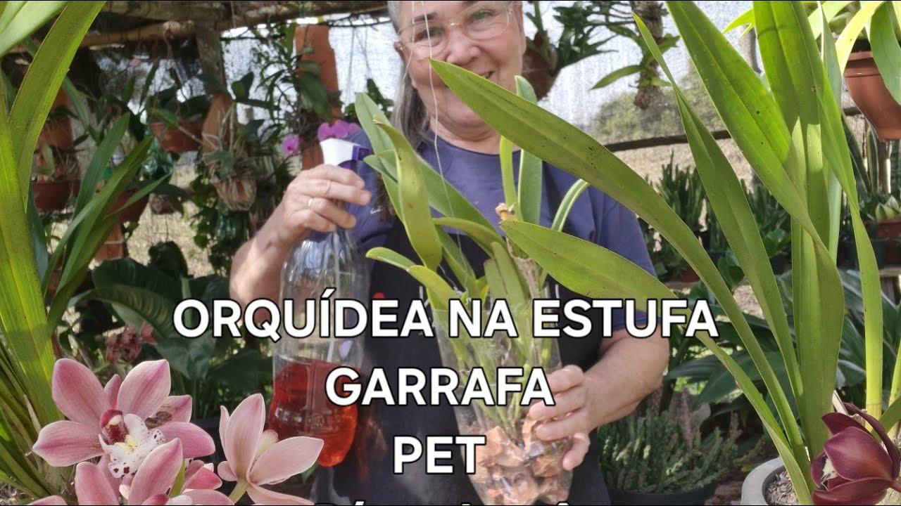 ORQUÍDEA Da GARRAFA PET PARA cachepô,☝️👆🙄🌼
