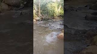 kecil tapi mantap tarikanya #fishing  lumayayn straik ikan uceng