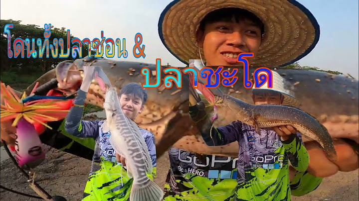 ที่อยู่ปลาช่อนกับปลาชะโดต่างกันยังไง"ต้องดู"ได้ทั้งช่อนทั้งชะโดเชียงราย สกั้มปลาทองและส่ายJN4 by JN4