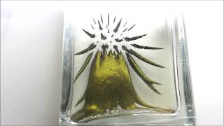 Ferrofluid Audio Visualizer GOLD version