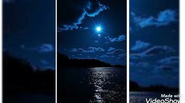 #حالات واتس دينية،# ماهر المعيقلي سوره الاخلاص،،💖