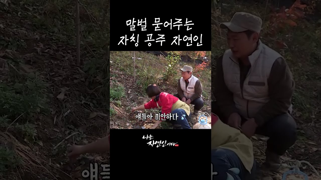 말벌 묻어주는 자칭 공주 자연인 #shorts