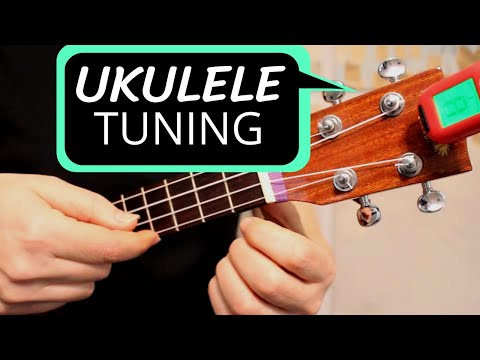 tiltrækkende Udled I modsætning til Ukulele TUNING for beginners - EASY comprehensive guide - TIPS to stay in  tune - YouTube