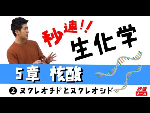 【秒速ナース】5-2 ヌクレオチドとヌクレオシド【生化学-授業動画】