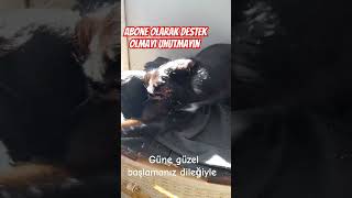 Gnnz Havalardan Daha Gzel Olsun