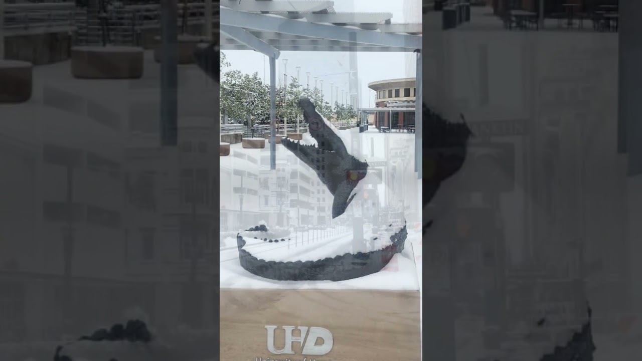 Houston Texas , January 2025 