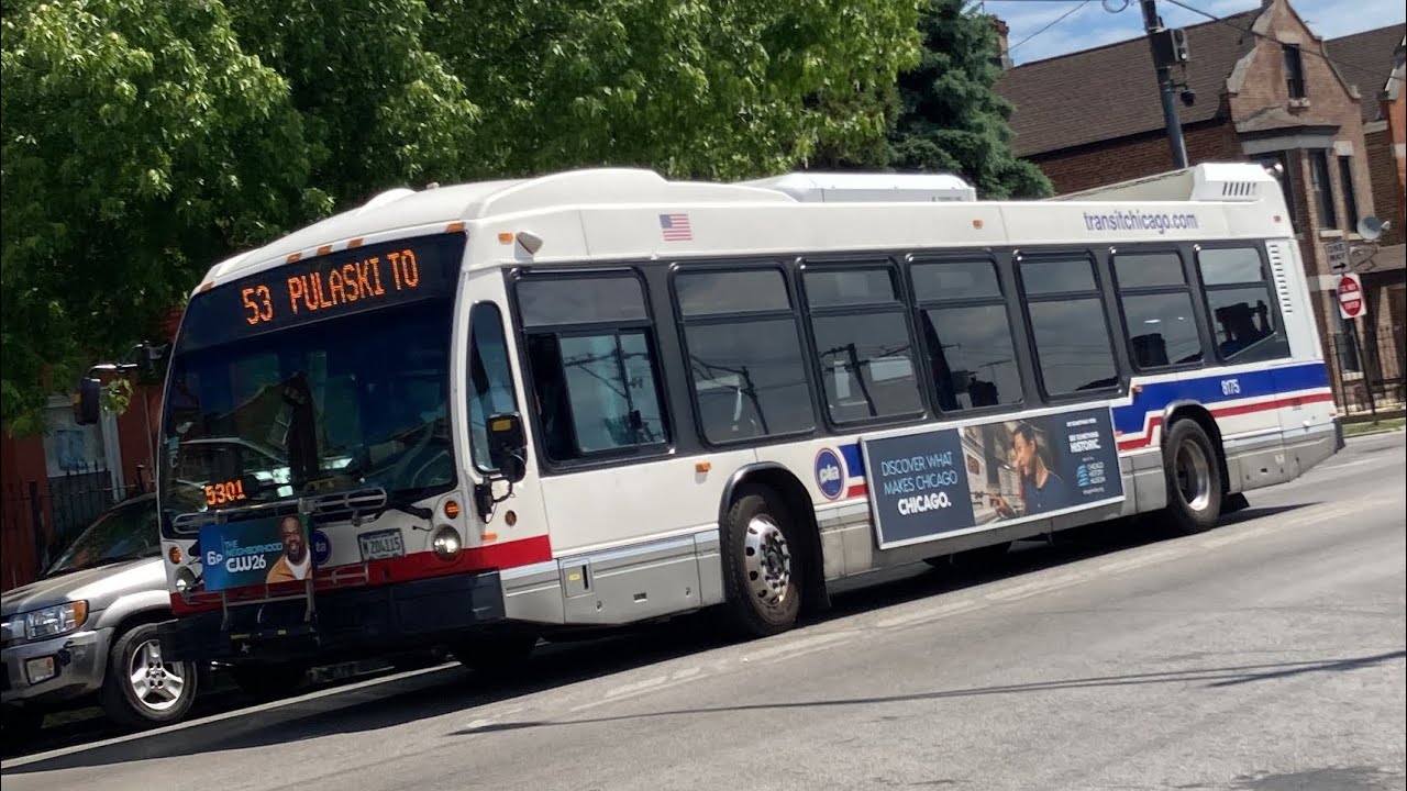 CTA 2015 Nova LFS Bus 8175 On Rt 53 Pulaski Credit Video To Erin