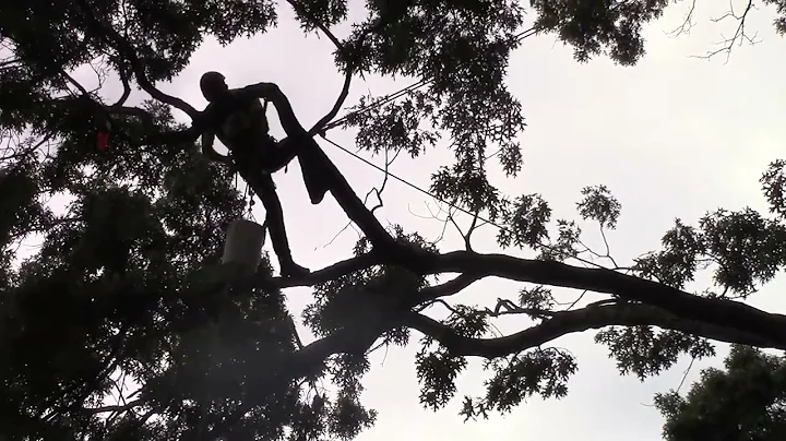 ITCC 2019 - Work Climb - James Earhart