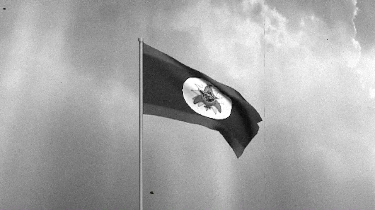 Hogs of War: Pinstripe's Mod v4.0 [Intro Cutscene Preview]