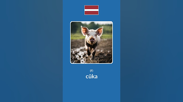 10 Common Animal Names in Latvian