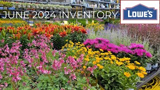 NEW ARRIVALS! Lowes Garden Center June 2024. New Plants at Lowes