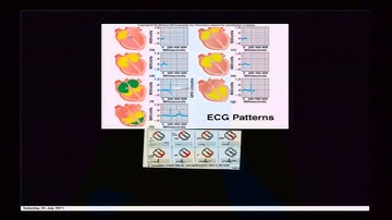 Mod-01 Lec-26 Bio electricity