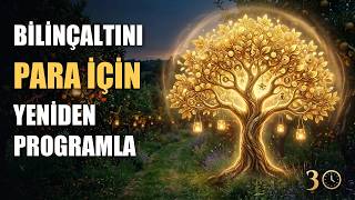 Yatmadan Önce Dinle: Bilinçaltın Para İçin Yeniden Programlansın