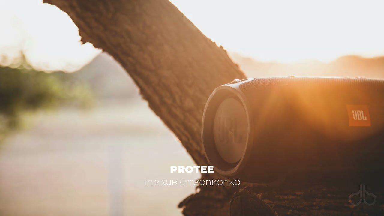 Pro-Tee - In 2 Sub (Umzonkonko) (Original mix)