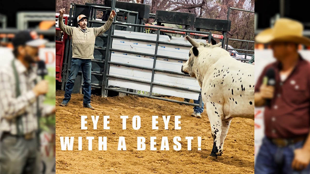 Наездники PBR тренируют и выступают на собственных быках