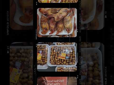 طيور البري الشحيم والسمان وصفار والقمري وبط البري 