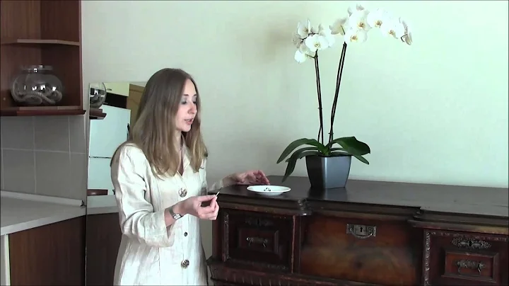 Oriental rugs: Buying guide