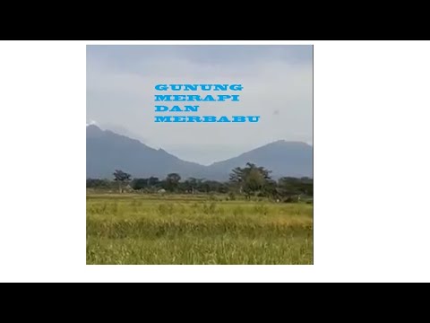 ALMOST DIED ON MOUNT MERBABU #viral #shorts #shortvideo #climber #mountain #mountainclimber