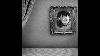 Vecina de peste drum