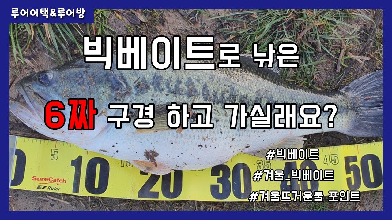 [루어어택&루어방]- 빅베이트로 낚은 6짜 구경하고 가실래요?