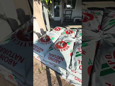 videolamaneta