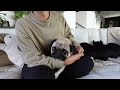 Beginning of video