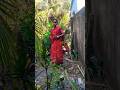 Tham Ke Baras #shots #youtube #trending #Dance #hindisong
