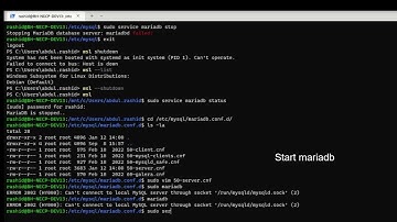 [2 min] MariaDB Root Password in Ubuntu/Debian WSL