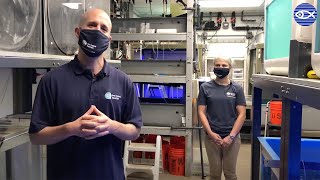 Virtual Visit: Behind-the-Scenes Wet Lab Tour!