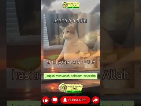 Video Pengajian Dakwah