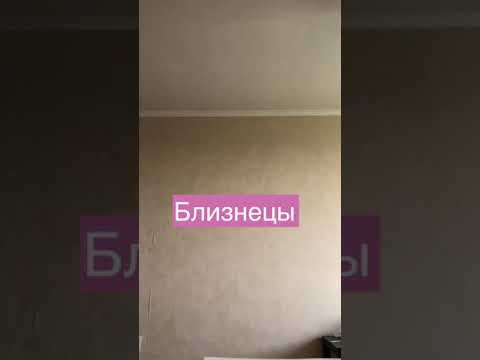 КАК СОБИРАЮТСЯ ПО УТРАМ ЗНАКИ ЗОДИАКА (ЧАСТЬ 1)