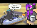 Monster School : BABY DRAGON  - Minecraft Animation