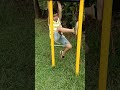 Gross Motor Activity|  4+ age group #grossmotorskill #growth #parenting