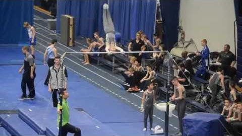 2017 Regional Level 6 High Bar